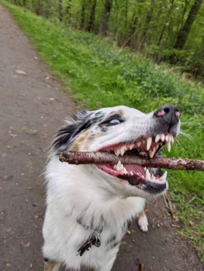 Handy-foto Challange nr. 11-Beitrag-Bild