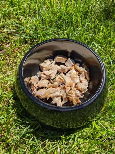 Zeigt her Eure Futternäpfe-Beitrag-Bild