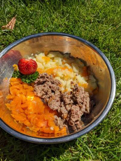 Zeigt her Eure Futternäpfe-Beitrag-Bild