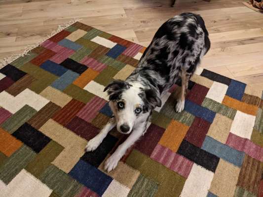 Trick Challenge Nr. 8-Beitrag-Bild