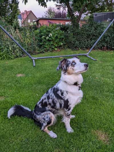 Trick Challenge Nr. 15-Beitrag-Bild