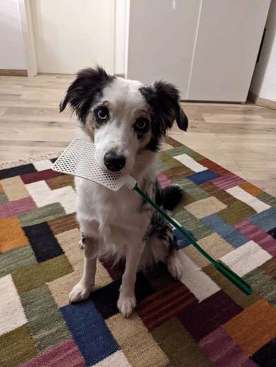 Handy-Foto Challange Nr. 12-Beitrag-Bild