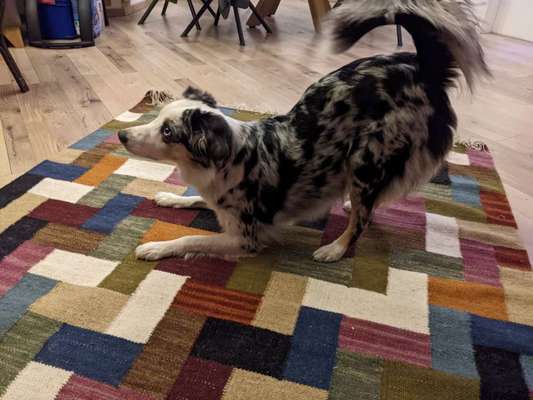 Trick Challenge Nr. 8-Beitrag-Bild