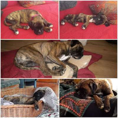 Schlafposition-Beitrag-Bild