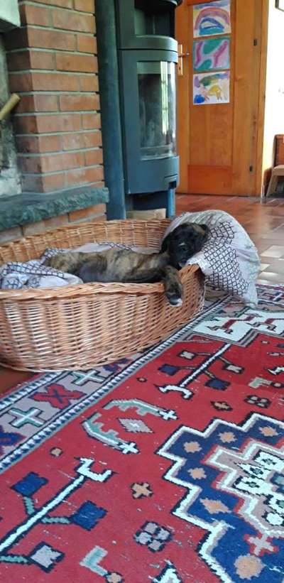 Die unbequemsten und lustigsten Schlafpositionen-Beitrag-Bild