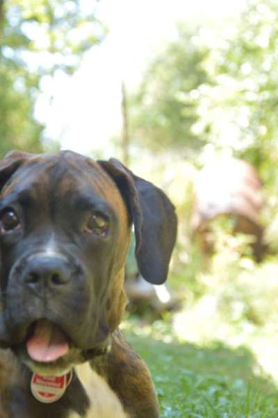 Lieblings Schnappschuss?-Beitrag-Bild