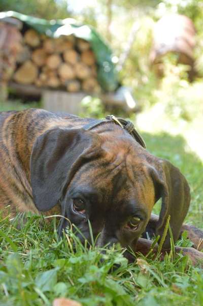 Lieblings Schnappschuss?-Beitrag-Bild