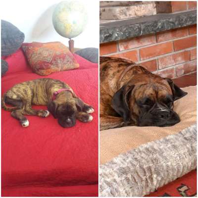 Vorher.... Nachher-Beitrag-Bild