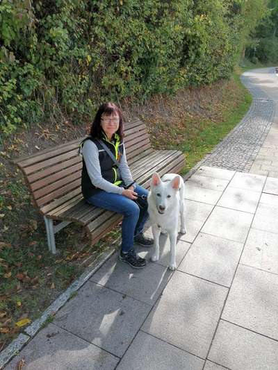 Schäferhundetreff PLZ-Beitrag-Bild