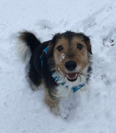 Fotochallenge 61 ~ Schnee-Beitrag-Bild