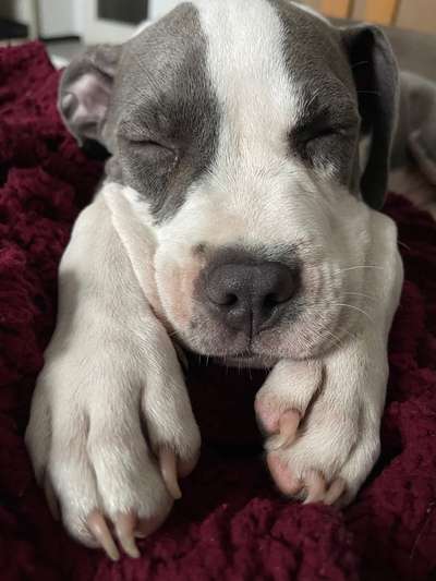 Foto Challenge Nr. 134-Beitrag-Bild