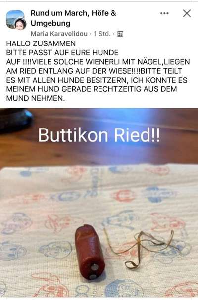 Giftköder-Wurst mit Nägeln-Bild