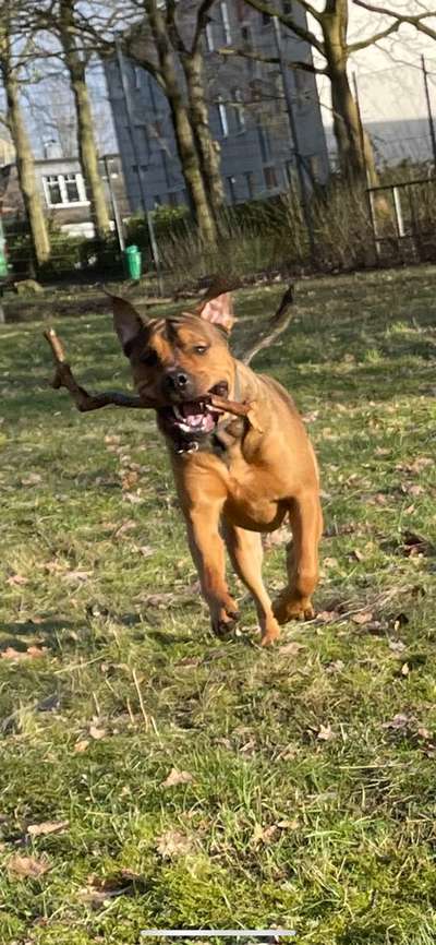 Lustigsten Bilder-Beitrag-Bild