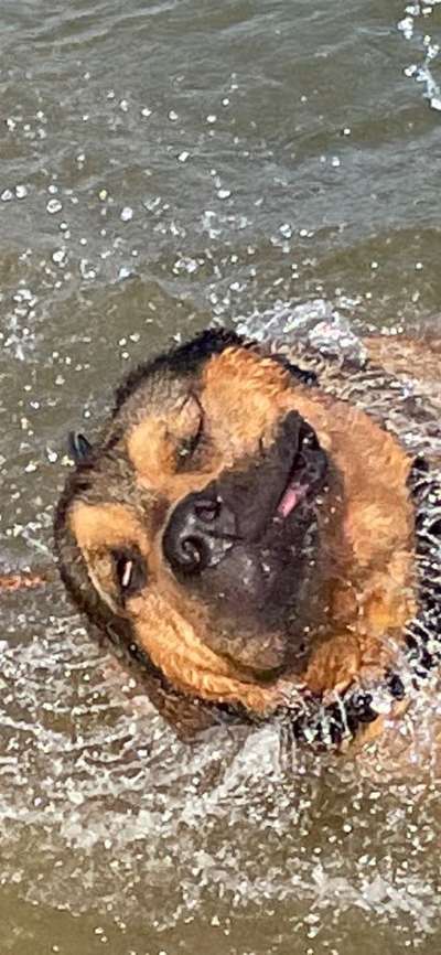 Lustigsten Bilder-Beitrag-Bild