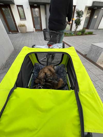 Was hat euch heute gefreut?-Beitrag-Bild