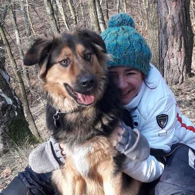 Hundetreffen-Gassi-Profilbild