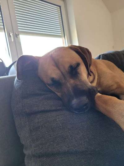 FOTO-Challenge  NR. 91: Die pure Entspannung-Beitrag-Bild