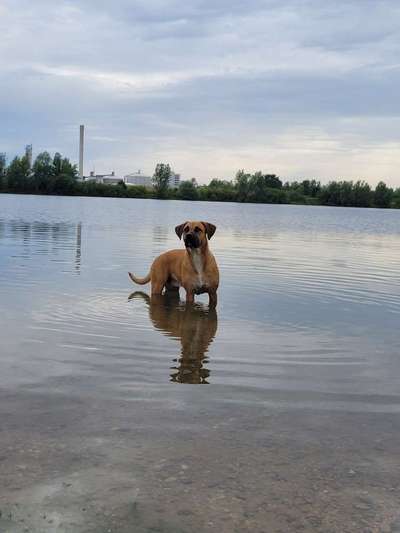Eure Strandbilder :)-Beitrag-Bild