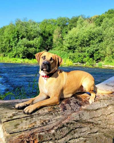 Fotochallenge Nr. 94 It's summer time-Beitrag-Bild