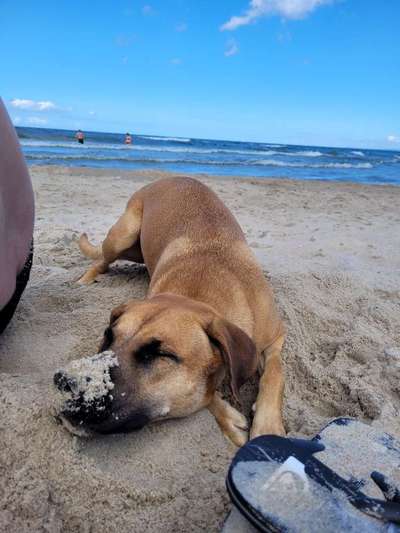 Eure Strandbilder :)-Beitrag-Bild