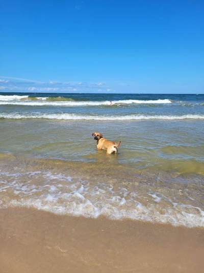 Eure Strandbilder :)-Beitrag-Bild