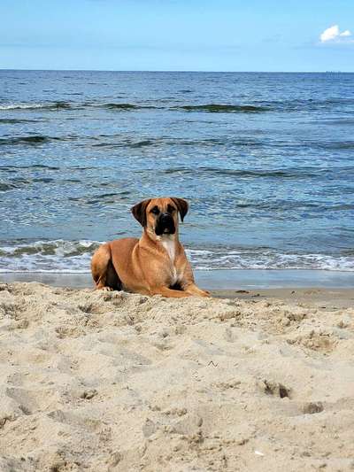 Eure Strandbilder :)-Beitrag-Bild