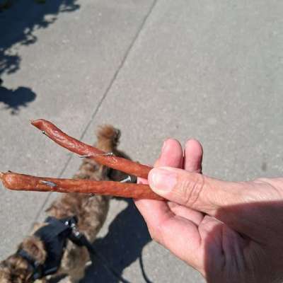 Giftköder-Wurst mit Nägel-Bild