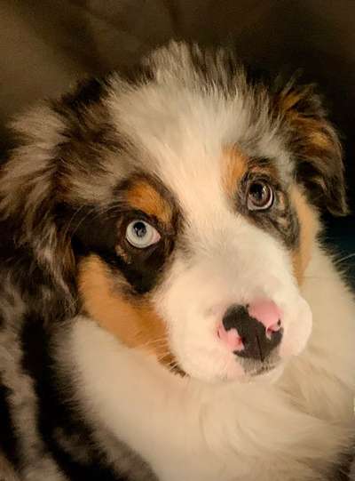 Fotochallange Nr. 57     PORTRÄT.   Beendet!!!!!!!!-Beitrag-Bild