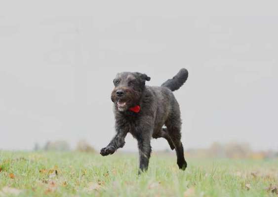 Fotochallenge Nr. 56 - geliebte Senioren-Beitrag-Bild