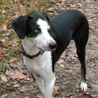 Epilepsie-Beitrag-Bild