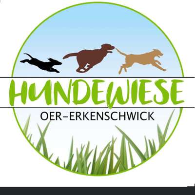 Hundeauslaufgebiet-Hundewiese Oer-erkenschwick-Bild