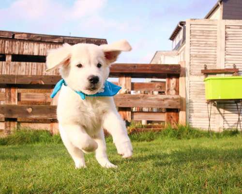 Foto Challenge 3-Beitrag-Bild