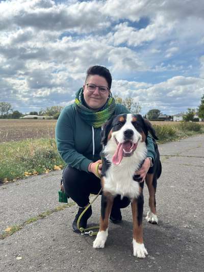 Hundetreffen-Gemeinsame Spaziergänge-Bild