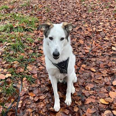 Anja's Profilbild