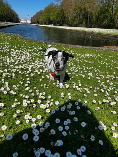 141. FOTO CHALLENGE 
Reisende soll man nicht aufhalten-Beitrag-Bild