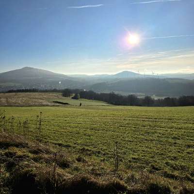 Hundeauslaufgebiet-Siechenberg-Bild