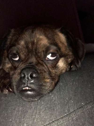 Handy-foto Challange nr. 11-Beitrag-Bild