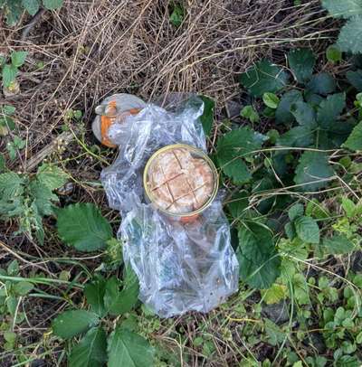 Giftköder-Giftkoder??  Präpariertes Dosenfleisch-Bild