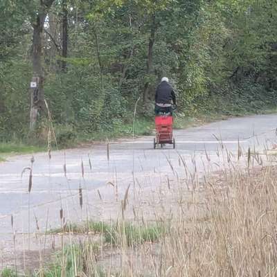 Giftköder-Belästigung durch Mann im.Wald-Bild