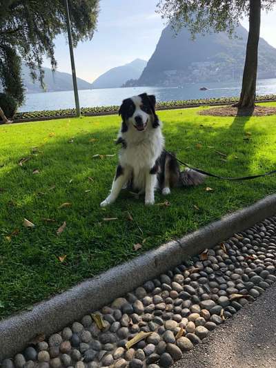 Fotochallenge Nr 107-Beitrag-Bild