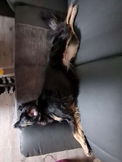 Die unbequemsten und lustigsten Schlafpositionen-Beitrag-Bild