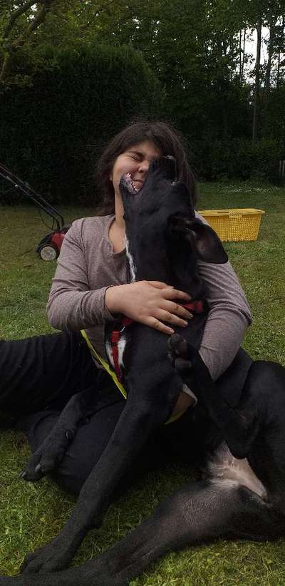 Challenge 33 - Du und dein Hund-Beitrag-Bild