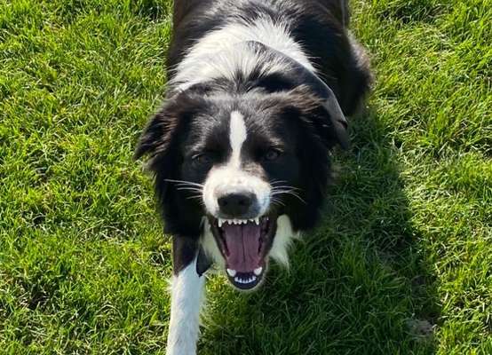 Handy-foto Challange nr. 11-Beitrag-Bild