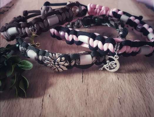 Floh und Zeckenmittel-Beitrag-Bild