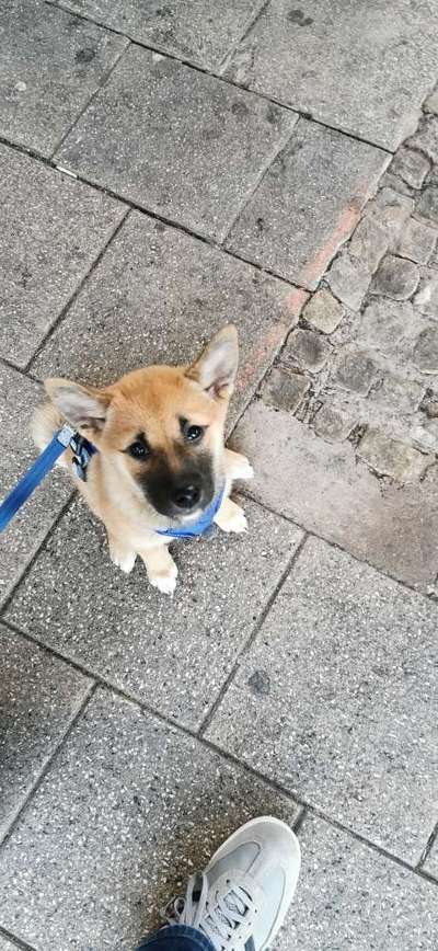 Sie werden so schnell erwachsen ...-Beitrag-Bild