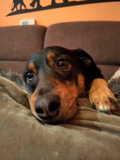 42. Handy Fotochallenge - Den richtigen Riecher haben-Beitrag-Bild