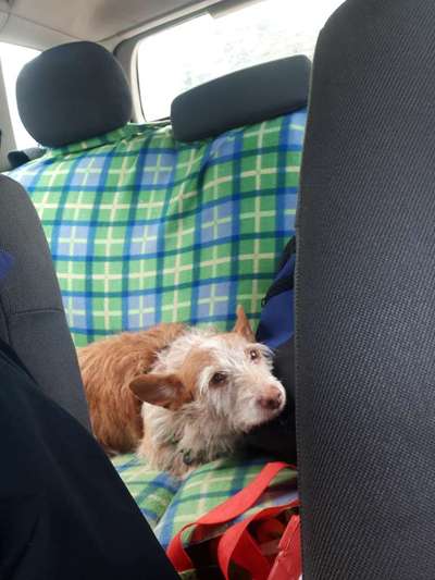 CHALLENGE NR. 18 - ON TOUR-Beitrag-Bild