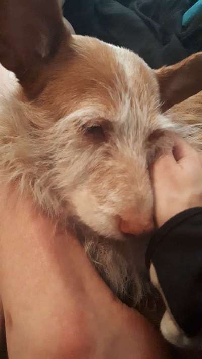 KUSCHEL PARTNER-Beitrag-Bild