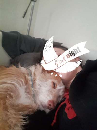 KUSCHEL PARTNER-Beitrag-Bild