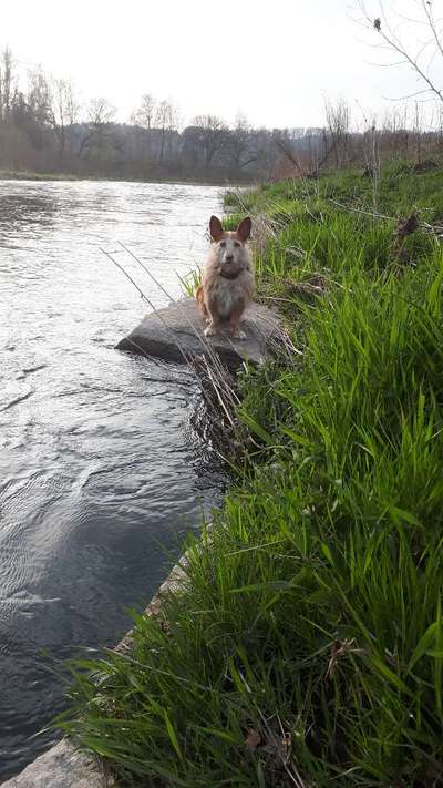 Fotochallenge 27-Beitrag-Bild